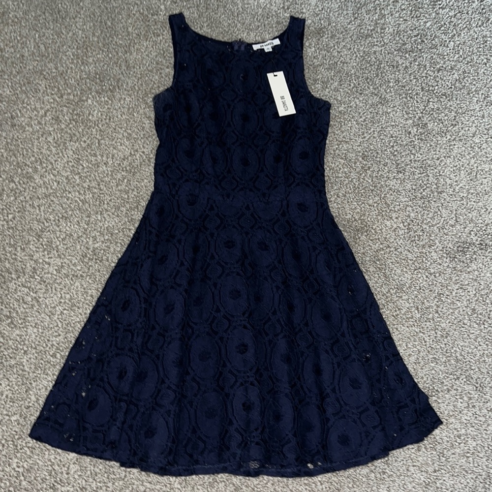 BB Dakota Lace Skater Dress